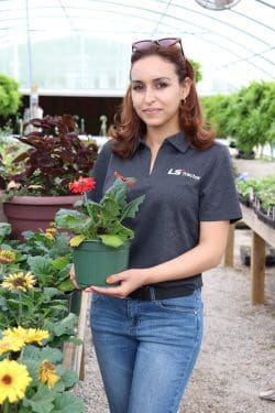 Woman holding red daisy in greenhouse